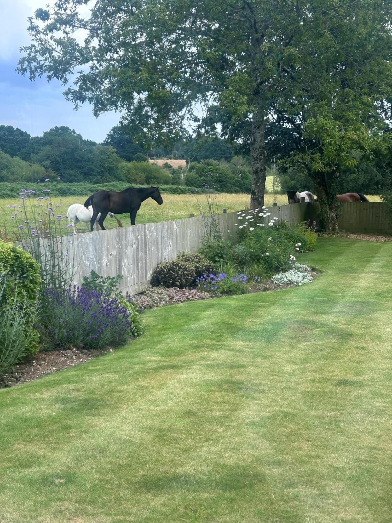 Cosy Near Poole, Dorset Bed & Breakfast Poole