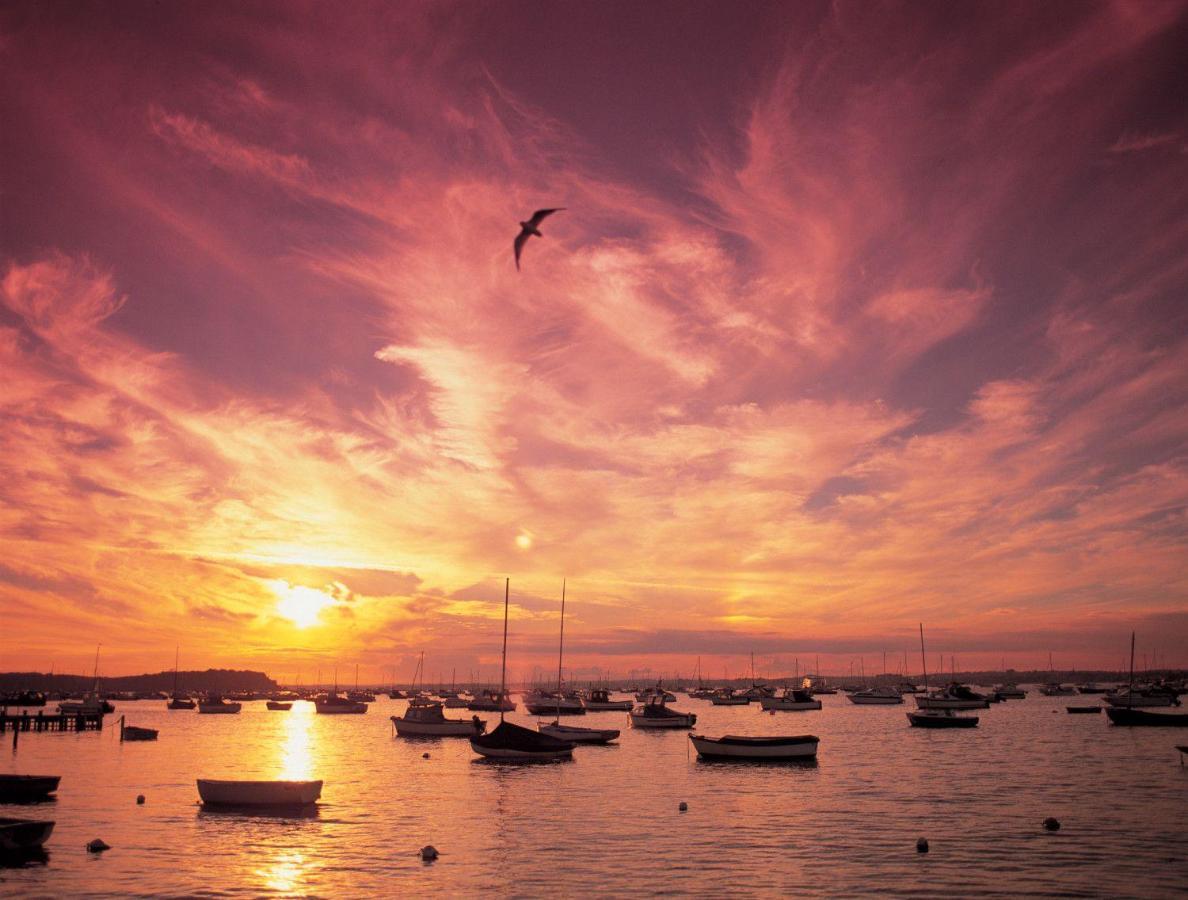 Perfect Harbour Views