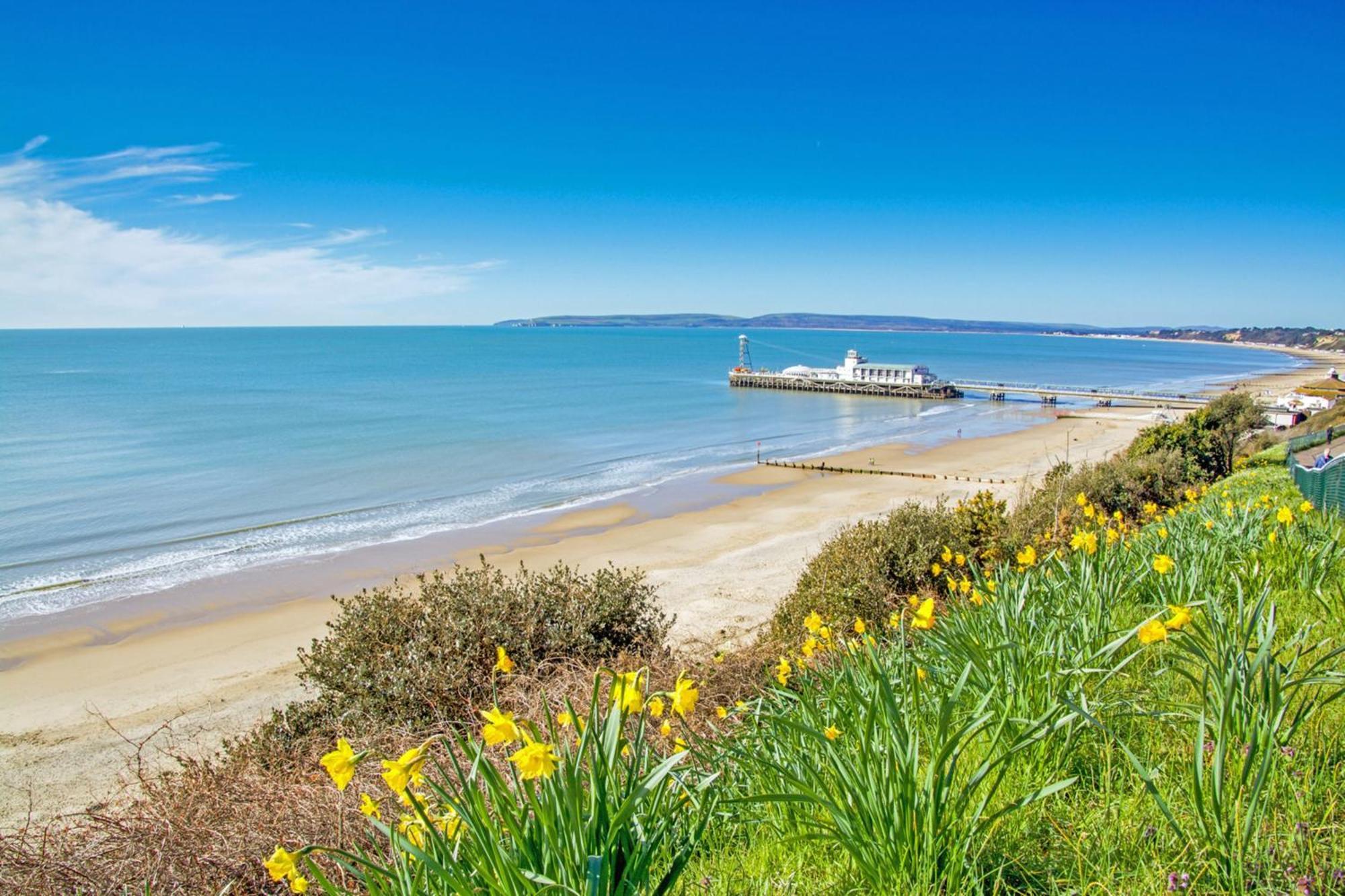 Bournecoast: Large Near / Shops -hb8380 *
