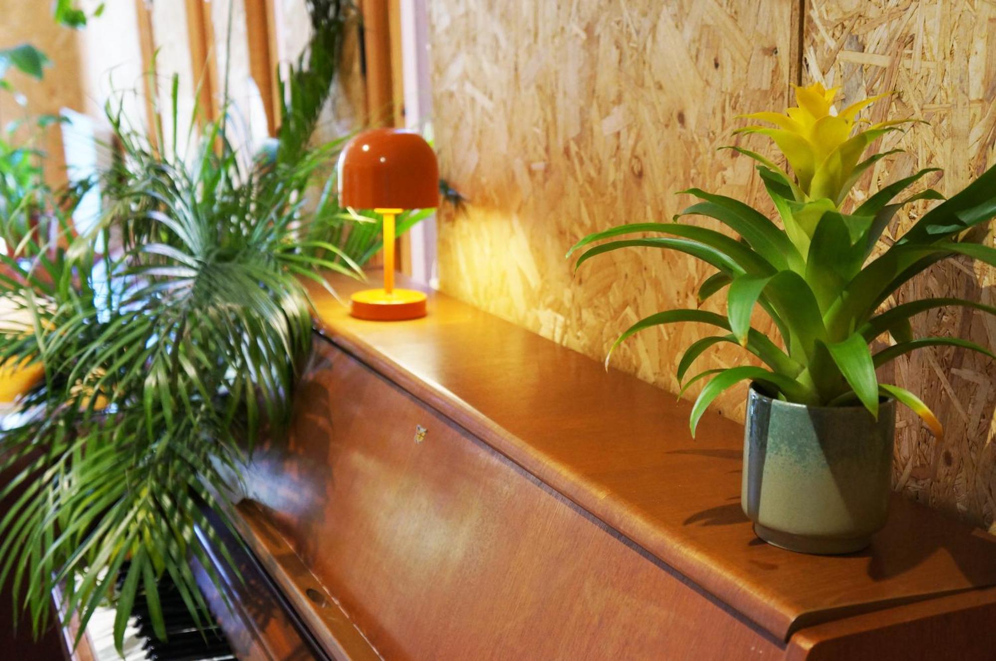 Casa de férias Zen Garden - Sleeps 2 - Patio & Parking