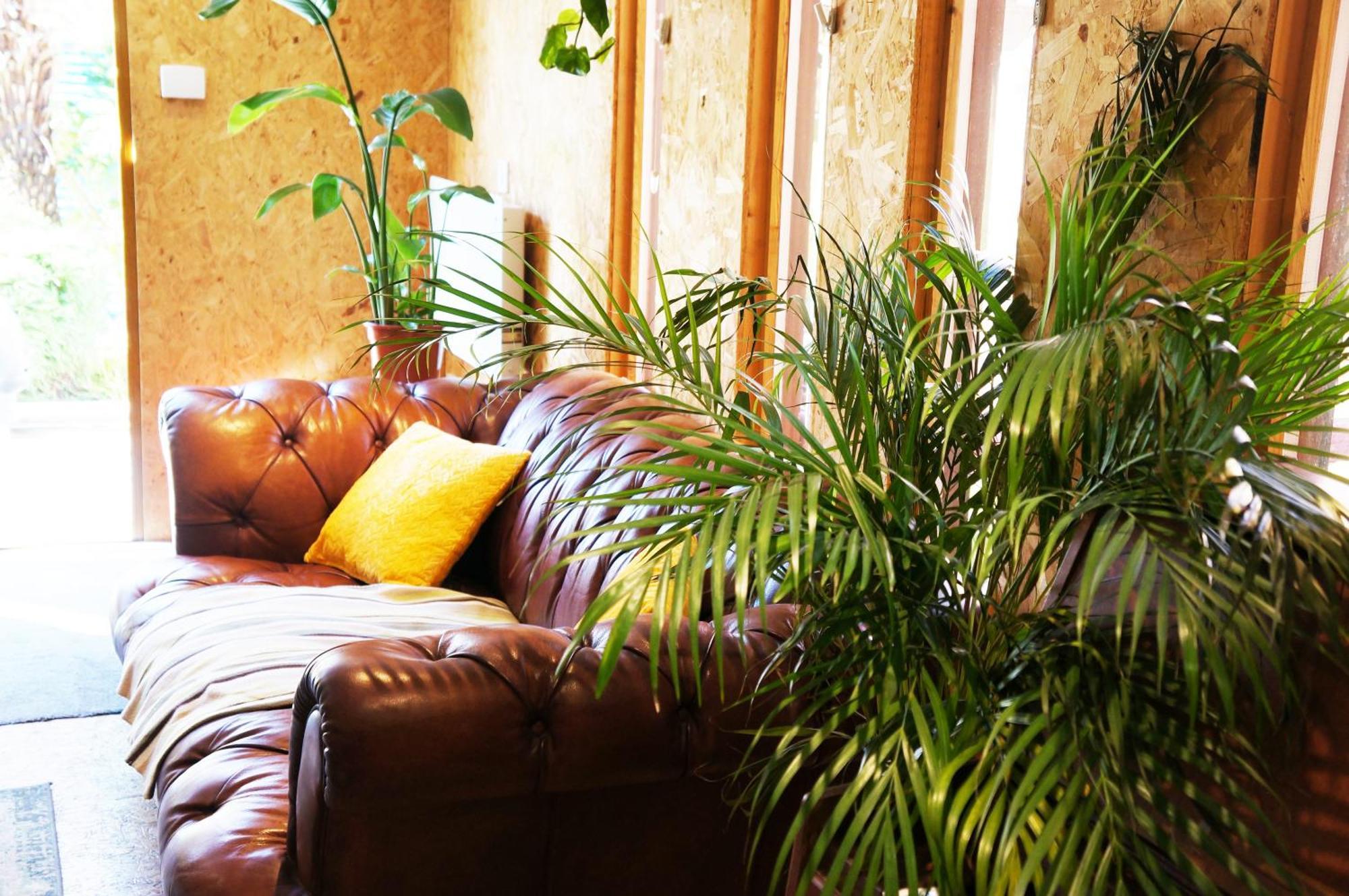 Zen Garden - Sleeps 2 - Patio & Parking Poole