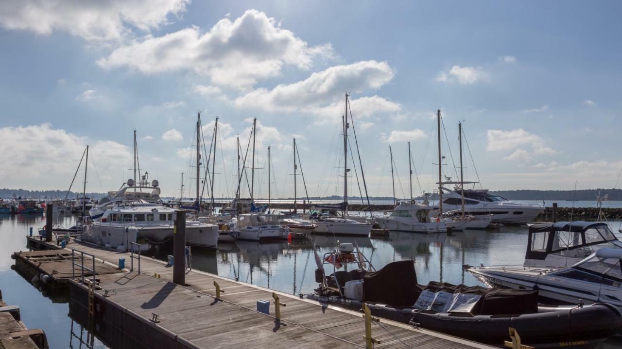 Mojo, * Poole