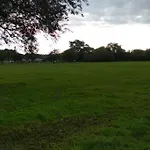 Fox Hill