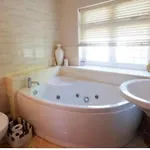 Beautiful Dorset Holiday Home In Private Grounds