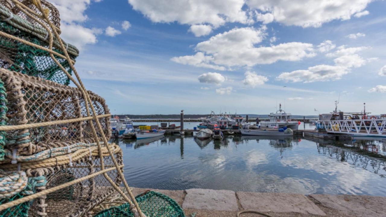 Coast Away Holiday home Poole
