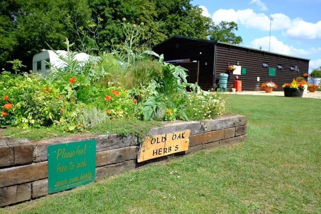 Glamping At South Lytchett Manor Campsite *