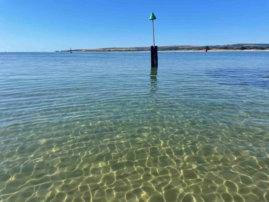 Ultramarine * Poole