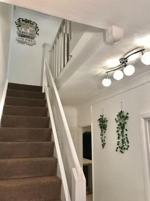 Holiday home Dolphin Retreat Close To Beaches And Harbour *