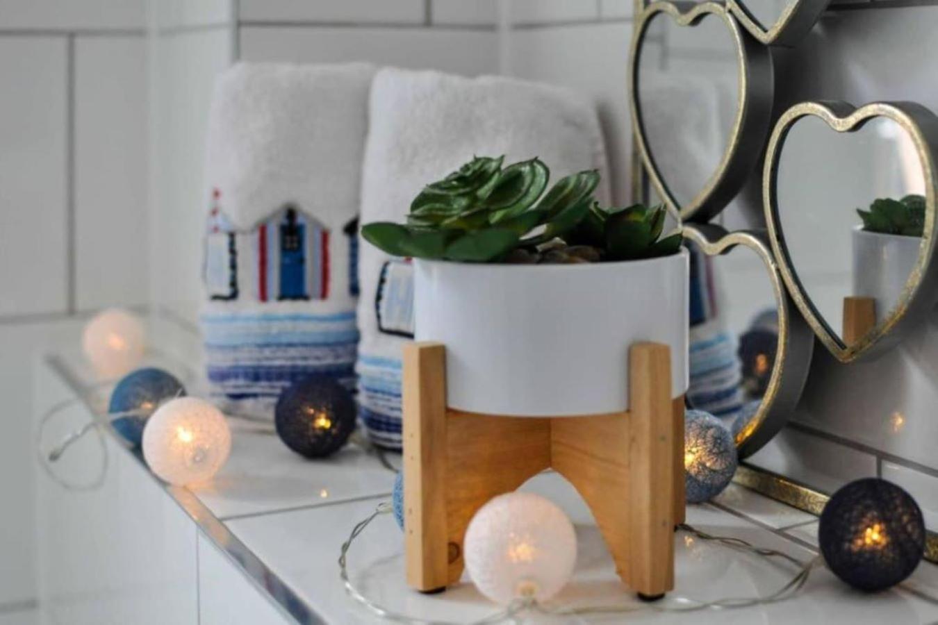 The Sashes: Cozy Near & Sandbanks