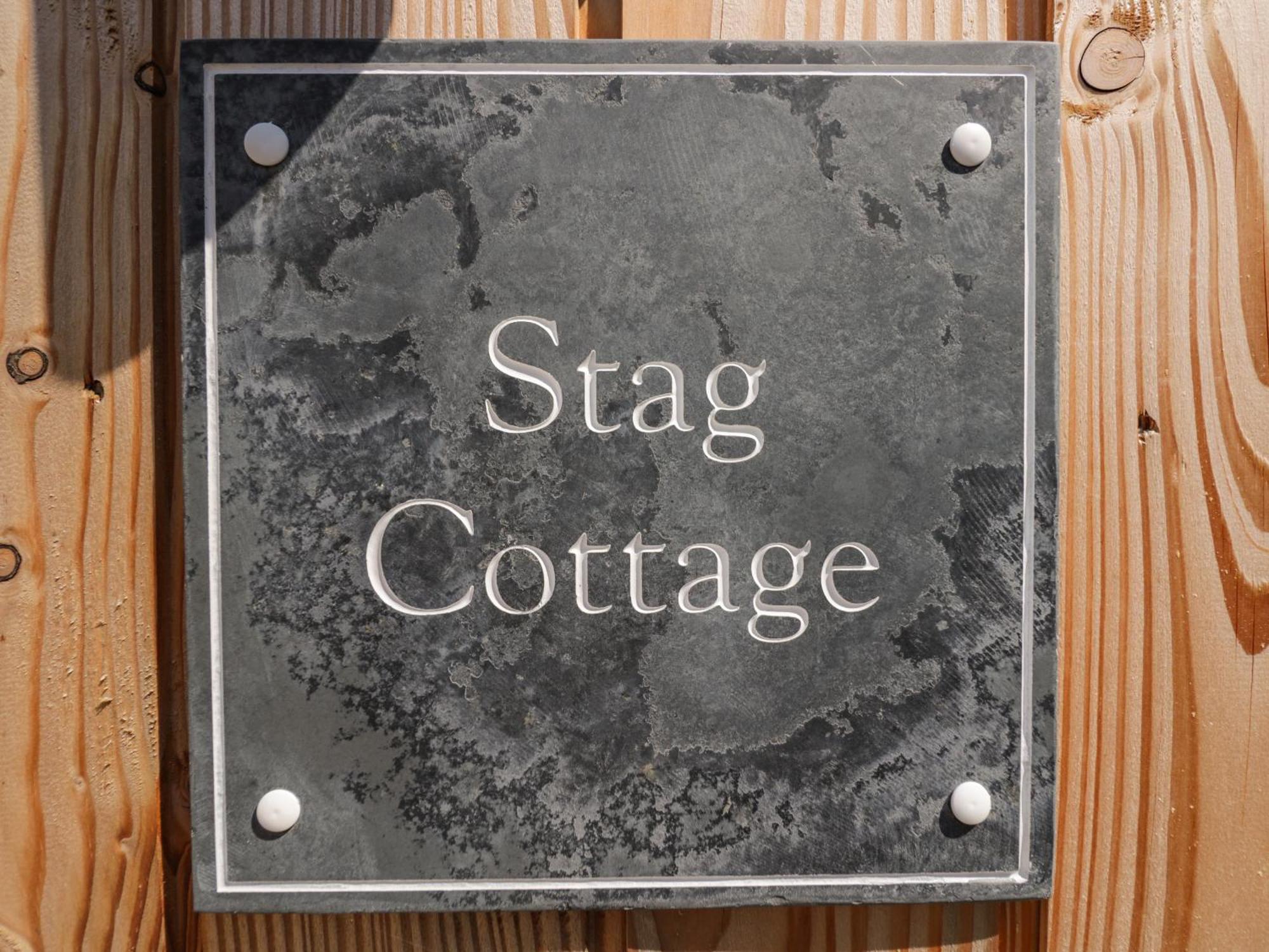 Stag * Poole