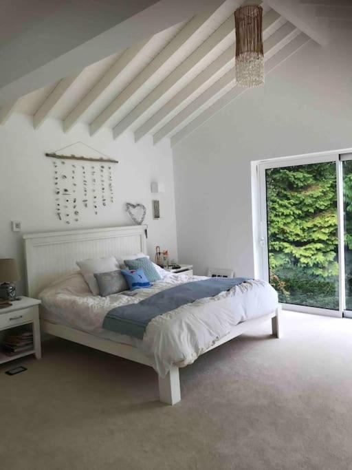 Villa Family House -swimming Pool And Amazing Garden Poole