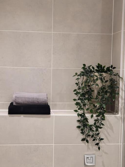 Entire Prestige In Quay - Free Parking, Fast Wifi, Smart Tv & Netflix Apartment