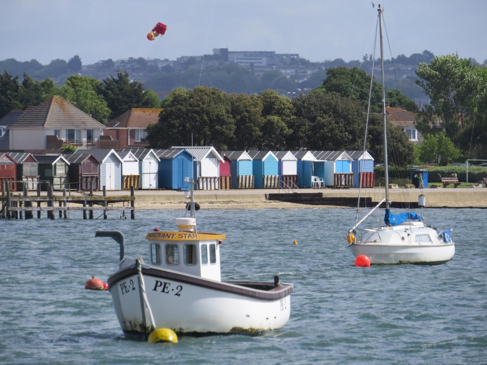 About Tern * Poole