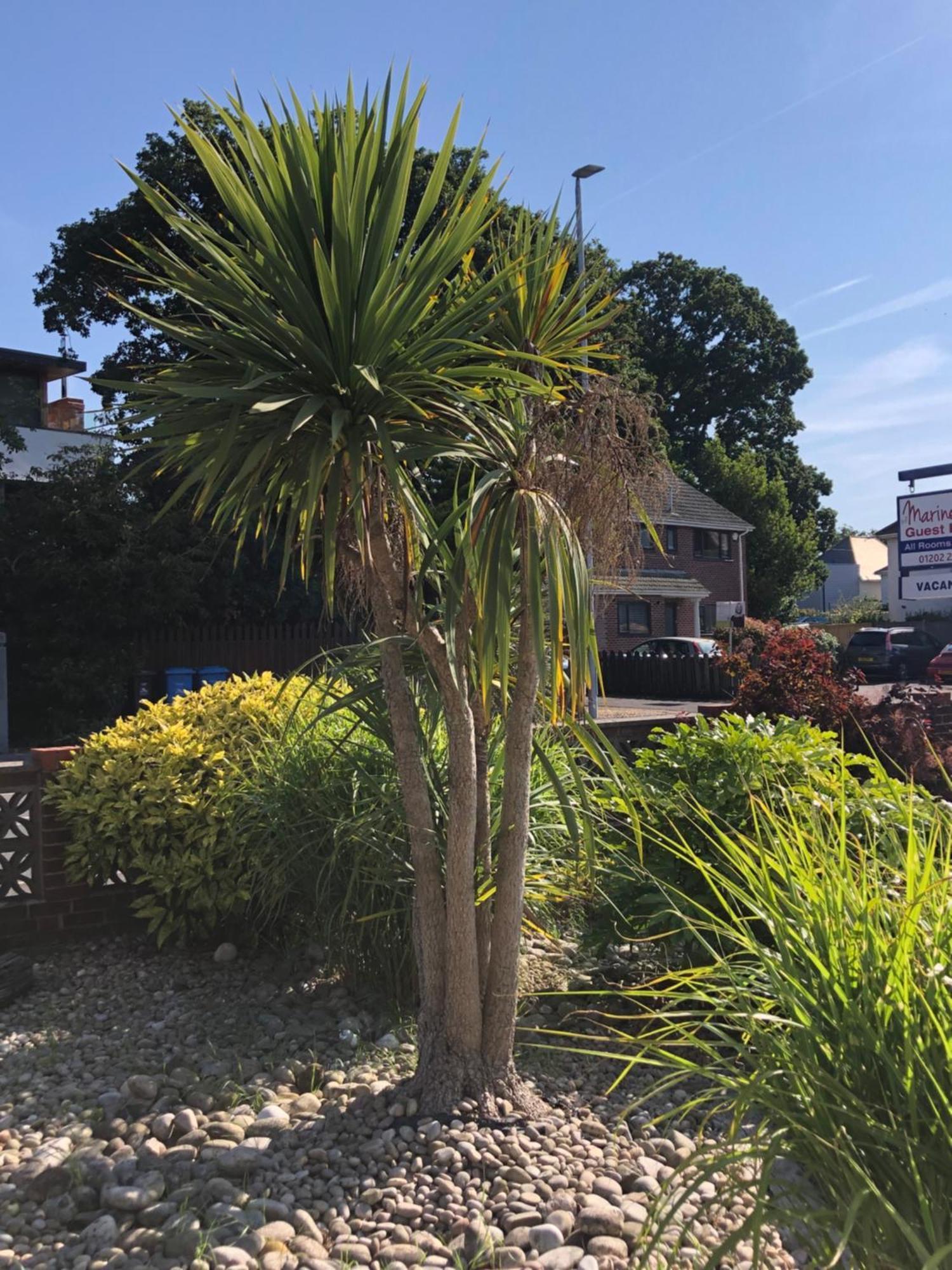 The Mariners Guest house Poole