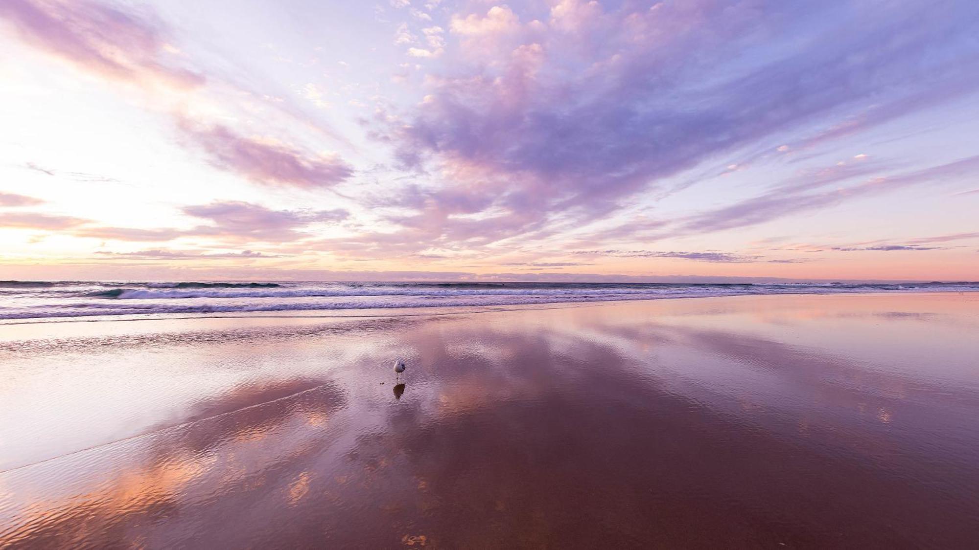 Holiday home Dolphin Retreat Close To Beaches And Harbour