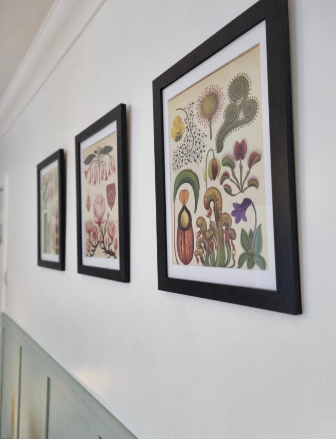 St Margaret's Homestay