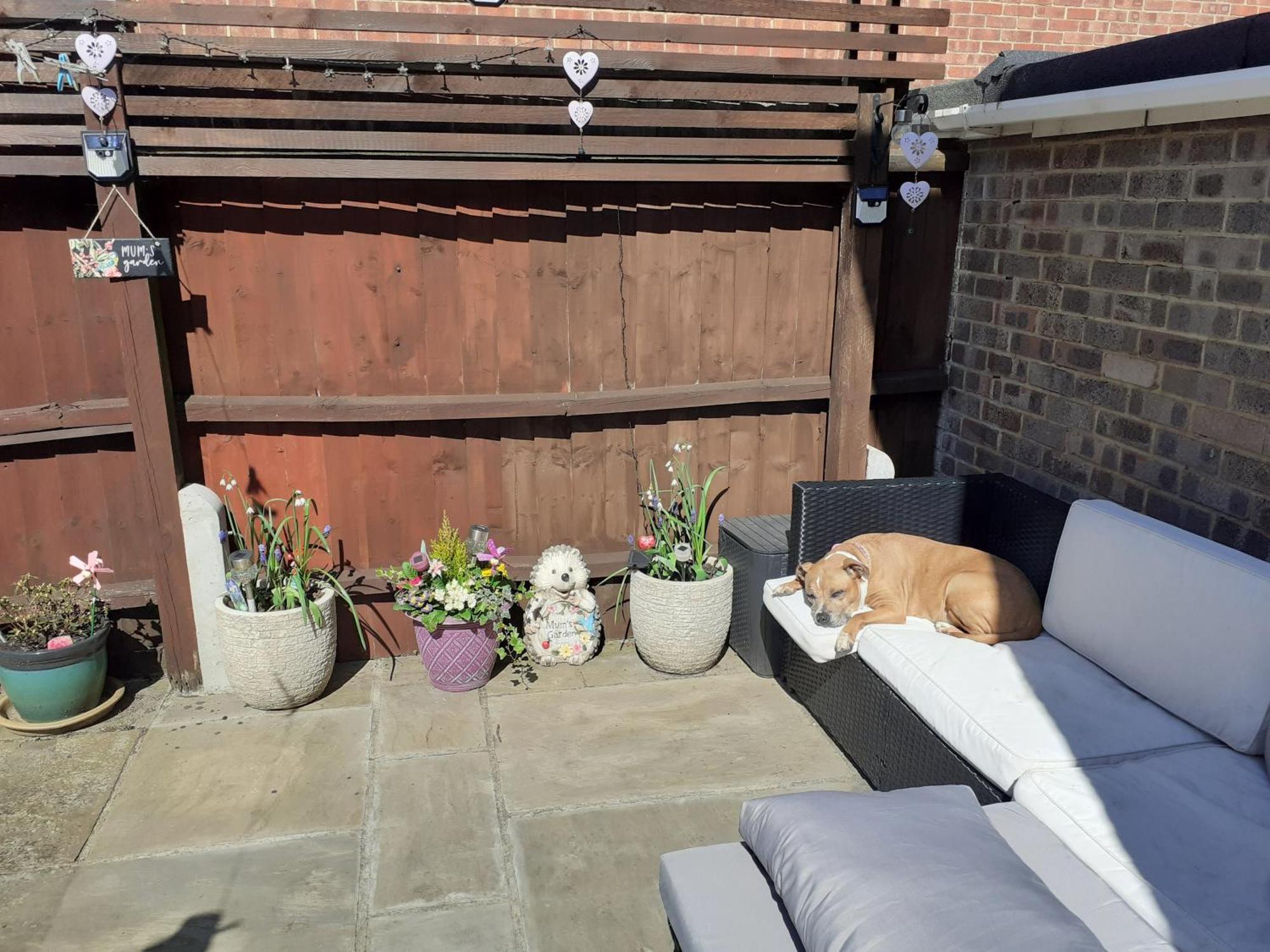 Double Bedroom Sleeps 1 Or 2 With Back Garden View *