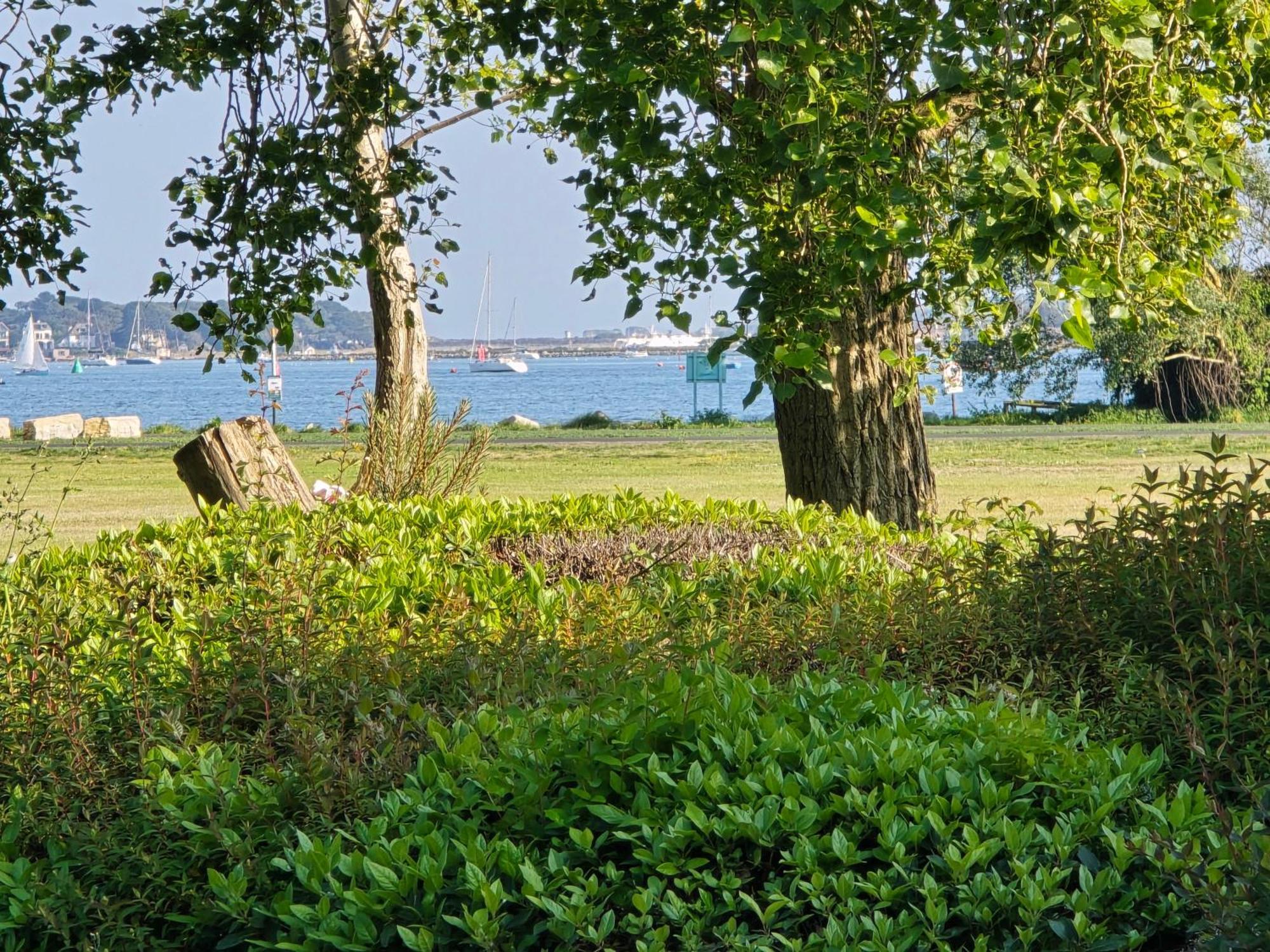 Catalina19