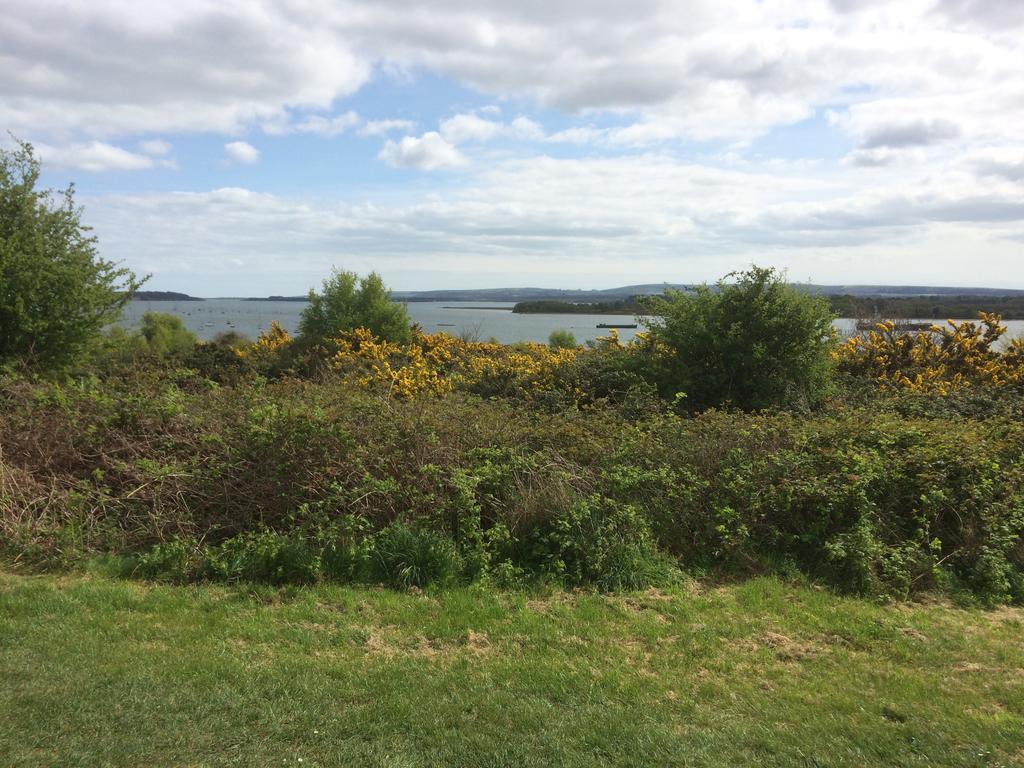Turlin Valley * Poole
