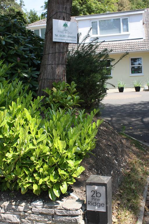 Pine Ridge Bed & Breakfast