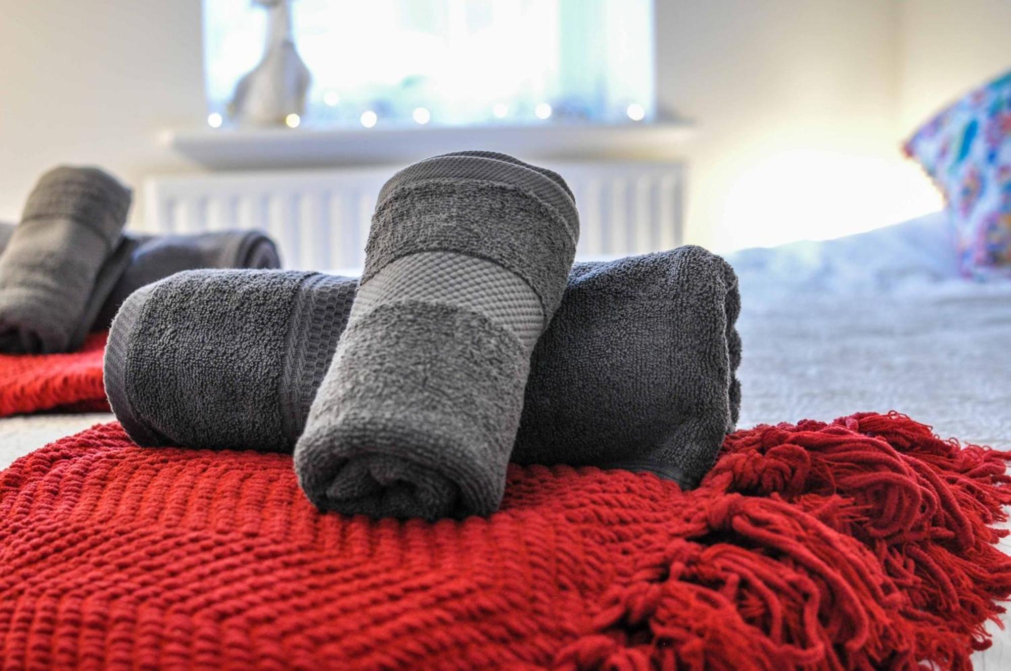 The Sashes: Cozy Near & Sandbanks